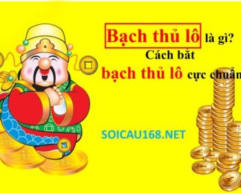 Bạch thủ lô là gì? Cách bắt bạch thủ lô cực chuẩn