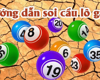 Cách nhận biết lô gan miền Trung chuẩn