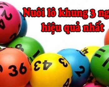 Cách phân bố vốn nuôi lô 3 ngày hiệu quả