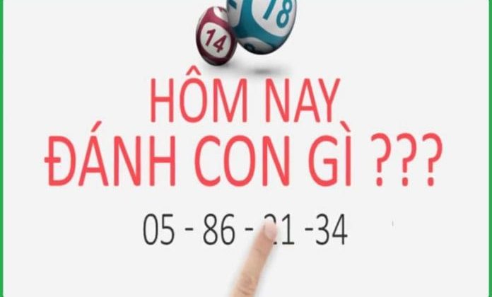 làm thế nào để đánh lô đề trúng